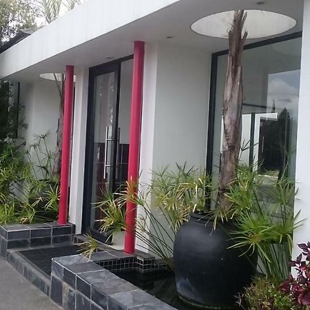 21 Kingfisher Guesthouse Johannesburg Zewnętrze zdjęcie
