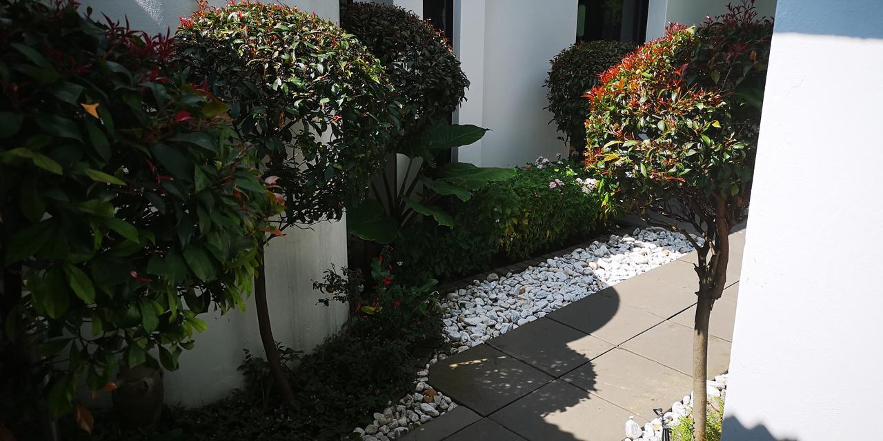 21 Kingfisher Guesthouse Johannesburg Zewnętrze zdjęcie