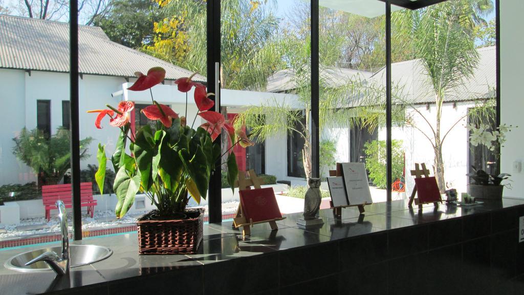 21 Kingfisher Guesthouse Johannesburg Zewnętrze zdjęcie
